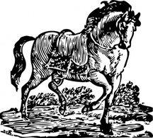 Animals - Woodcut Horse clip art 