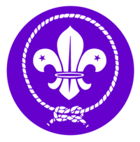 World Scout Movement