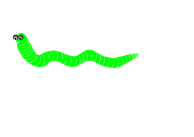 Worm / Gusano