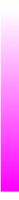 Ws Gradient Magenta 