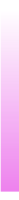 Ws Gradient Violet