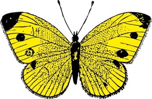 Yellow Butterfly clip art