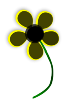 Yellow Daisy