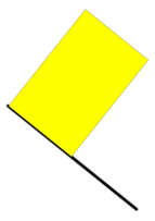 Yellow flag