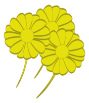 Yellow Flowers