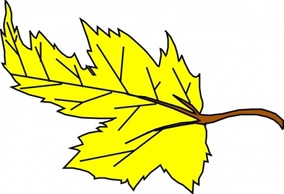 Nature - Yellow Leaf clip art 