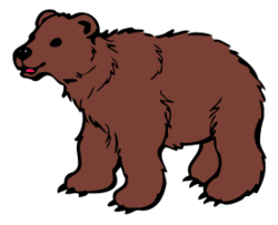 Animals - Young Brown Bear 