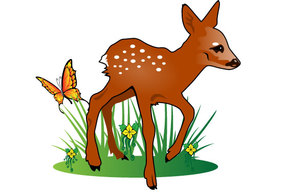 Young Deer Vector Illustration