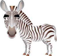 Zebra 4