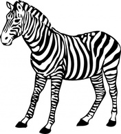 Animals - Zebra clip art 