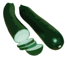 Food - Zucchini 